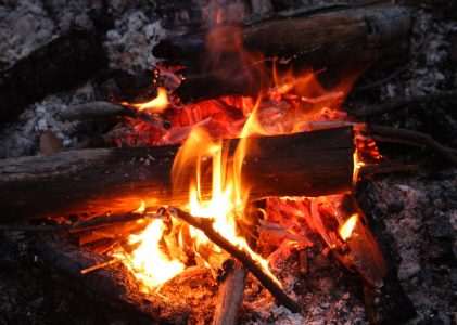 Western & Cowboy Harmonica